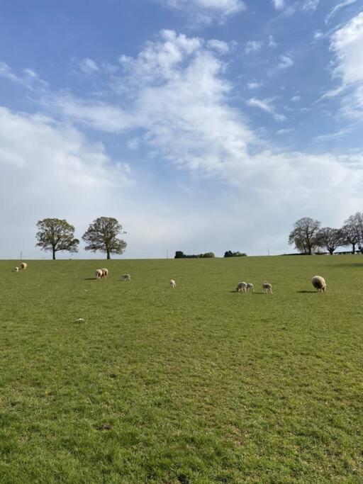 Coach House - Detached Cottage Within 135 Acres Bromyard Eksteriør billede
